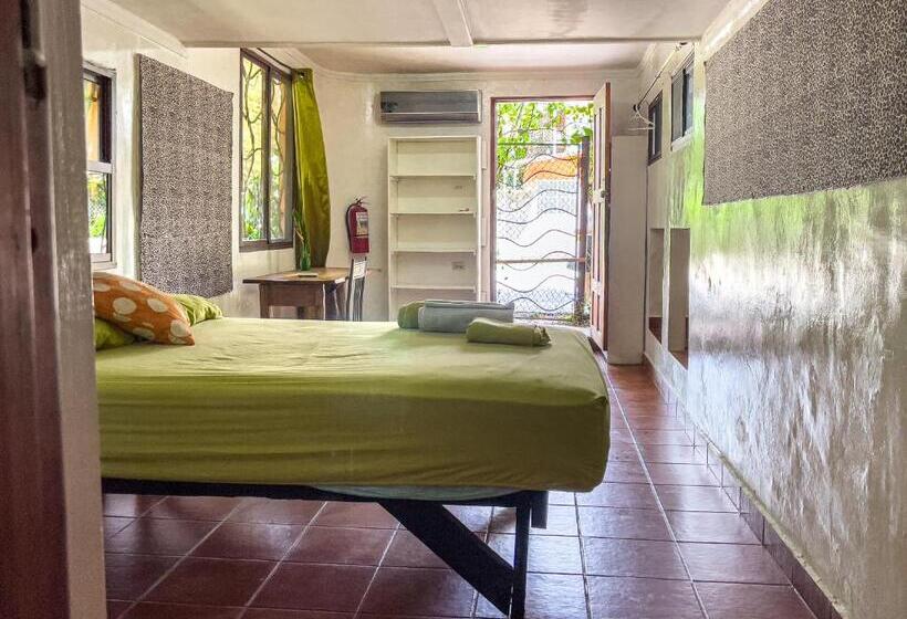 بنسيون Garden Rooms