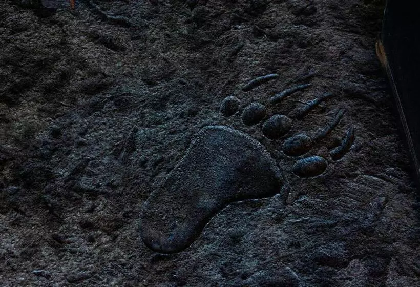 ホテル Pendleton Pointe