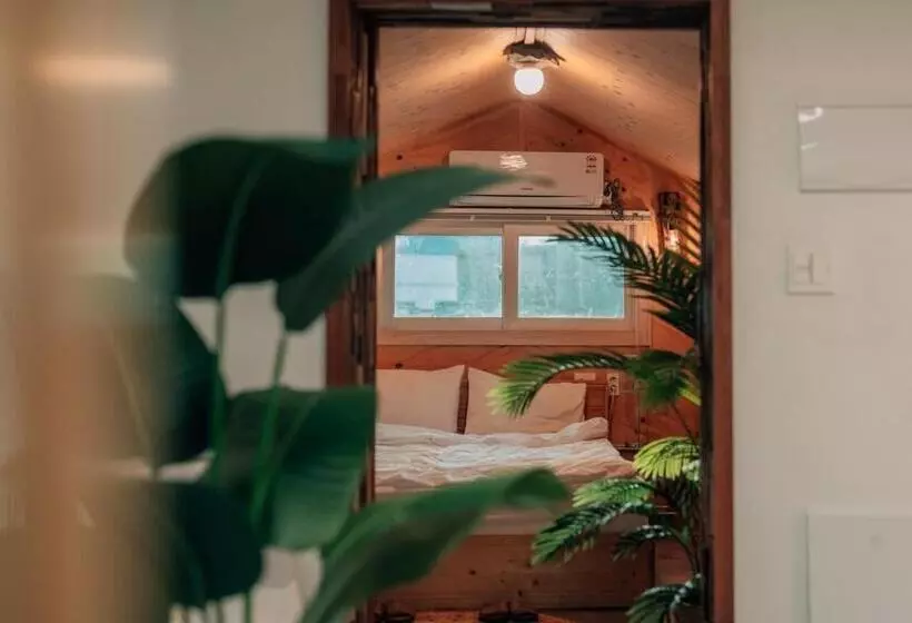 Jeju Pension Doldamnomo Jip Doldamjeom