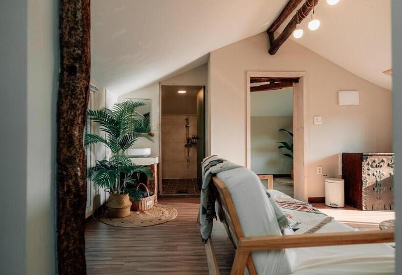 Jeju Pension Doldamnomo Jip Doldamjeom