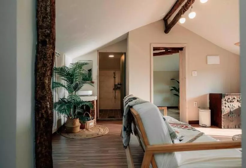 Jeju Pension Doldamnomo Jip Doldamjeom