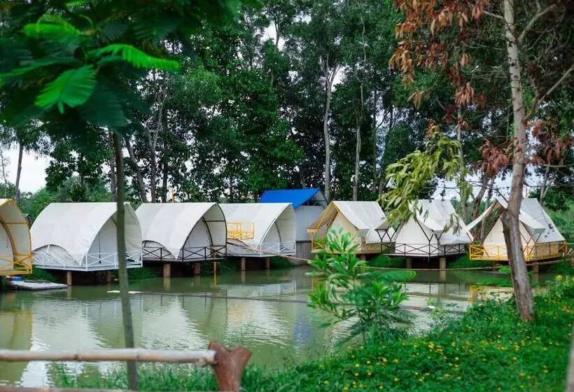 استراحتگاه The Grand Việt Kiều