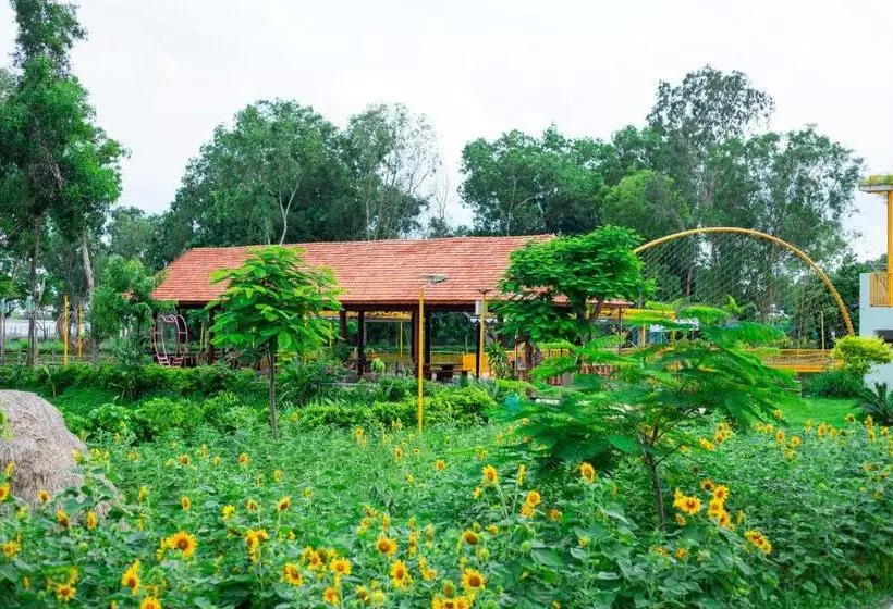 استراحتگاه The Grand Việt Kiều