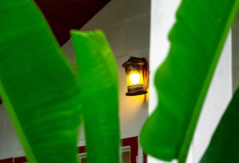 Pension (Hôtel basse catégorie) Beachfront Bliss