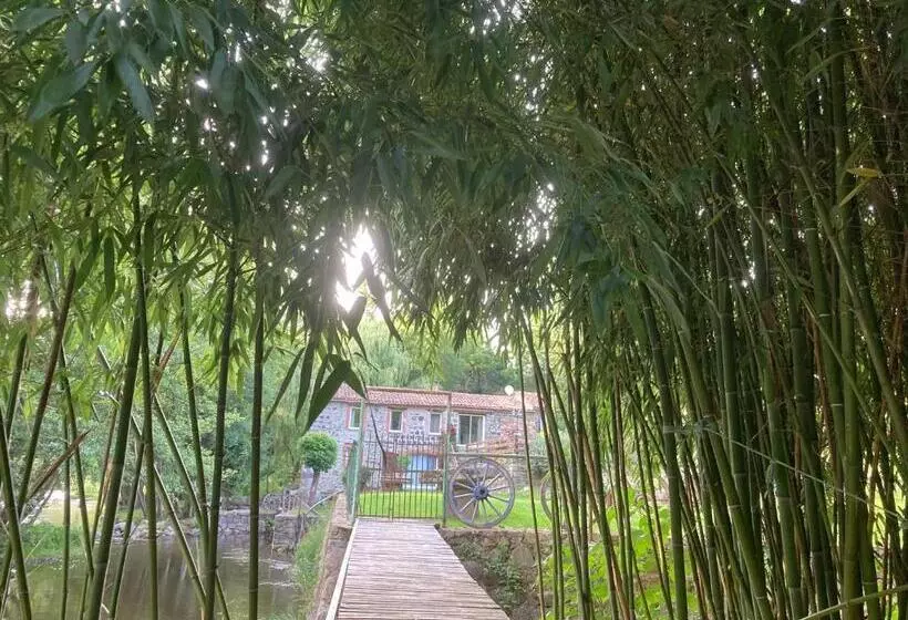 Majatalo Cottage River & Spa