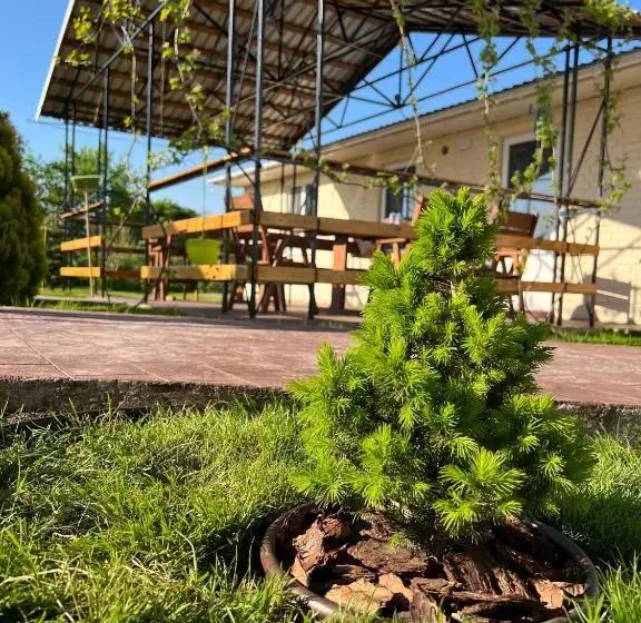 ユースホステル Green House Gribovka