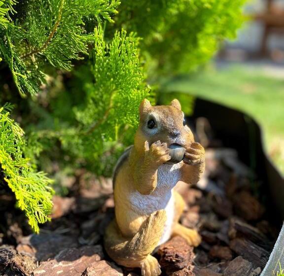 호스텔 Green House Gribovka