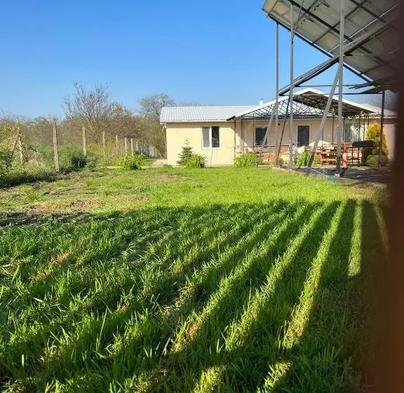 ユースホステル Green House Gribovka