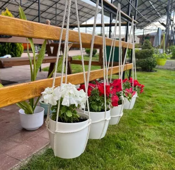 ユースホステル Green House Gribovka