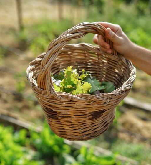 ベッドアンドブレックファースト Casa Del Gallo