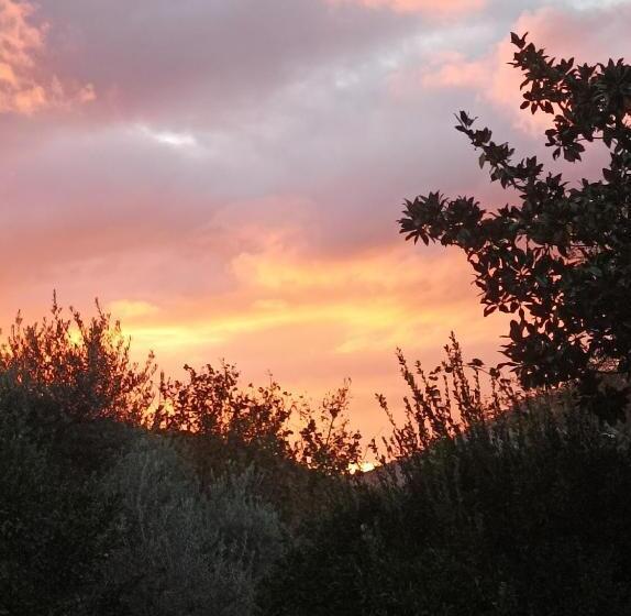 호텔 Tenuta Vitale Azienda Agricola Multifunzionale