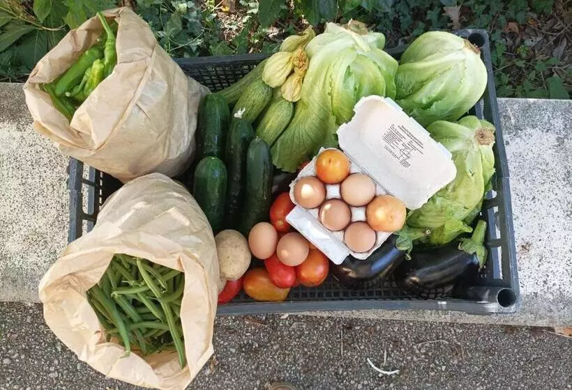 ホテル Tenuta Vitale   Azienda Agricola Multifunzionale