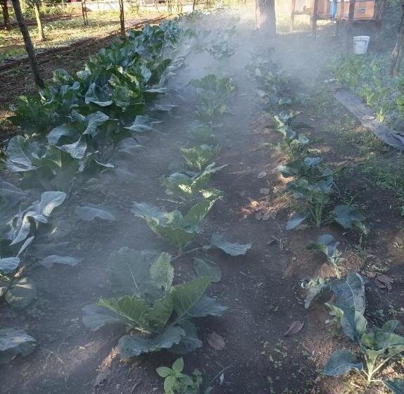 호텔 Tenuta Vitale Azienda Agricola Multifunzionale