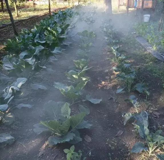 ホテル Tenuta Vitale   Azienda Agricola Multifunzionale
