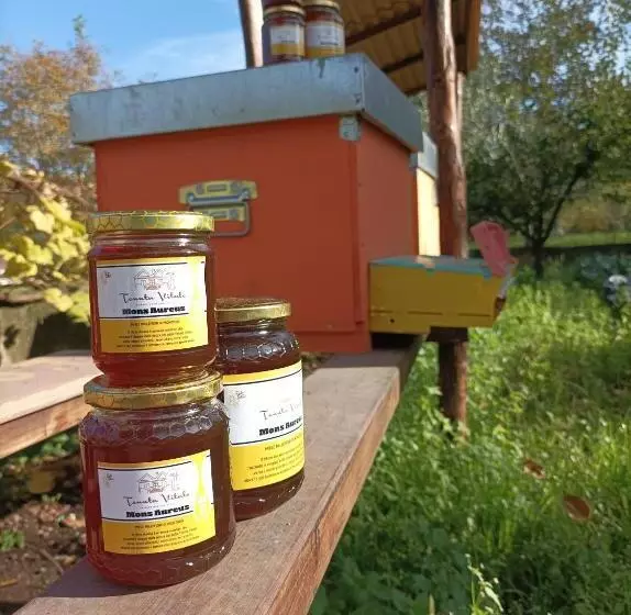 ホテル Tenuta Vitale   Azienda Agricola Multifunzionale