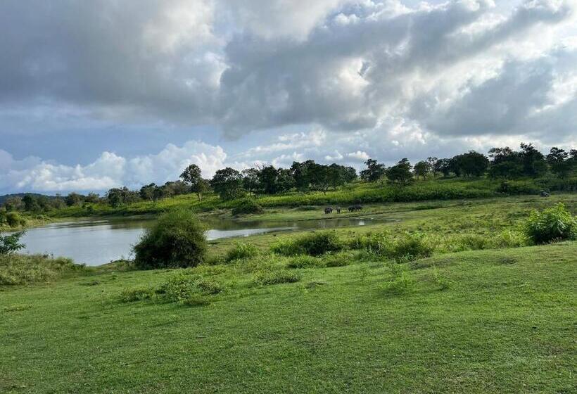 The Wild Fo Rest Resorts