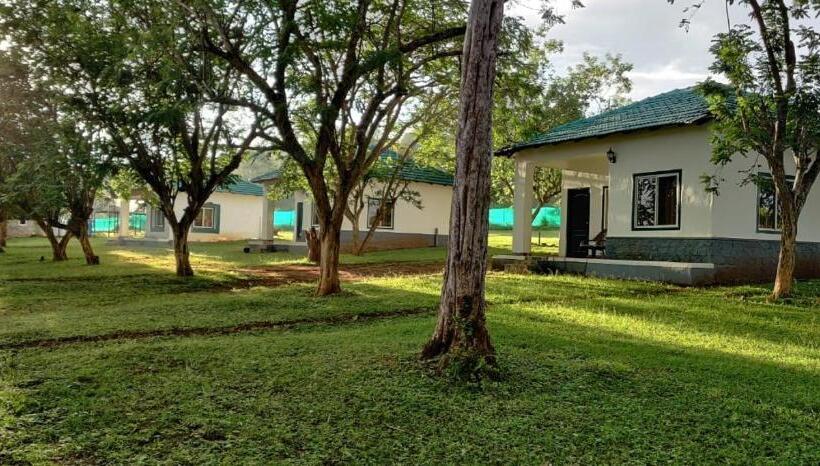 The Wild Fo Rest Resorts