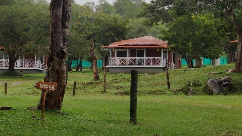 The Wild Fo Rest Resorts