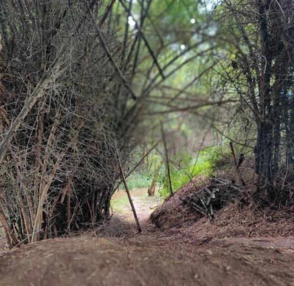 The Wild Fo Rest Resorts