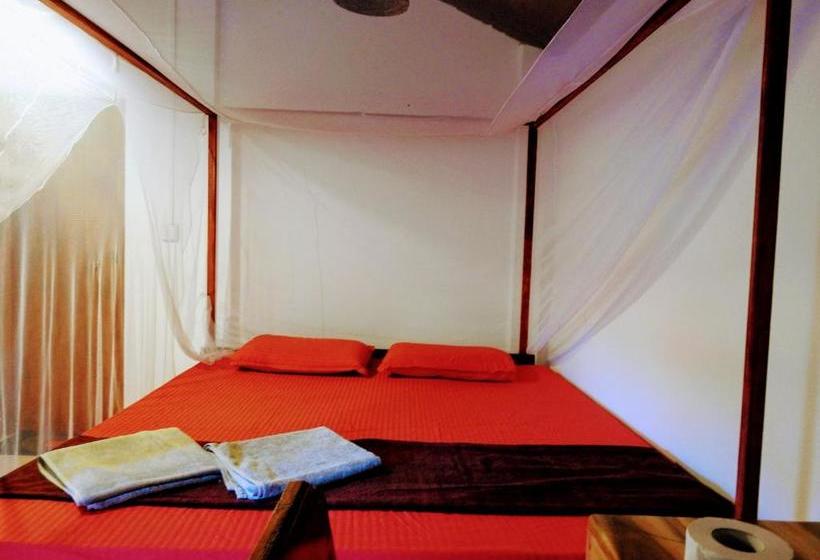 مبيت وإفطار Cresent Bay Beach