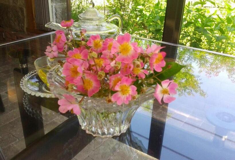 Hotel Hitoyoshi Morinohall Ladies In  Female Only