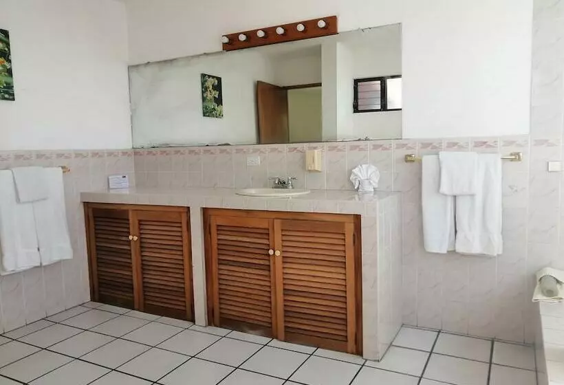 Novohostal B&b
