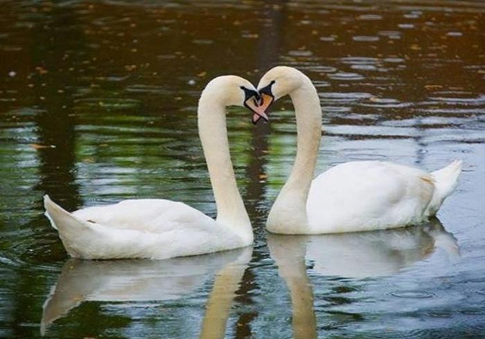 Nocleg ze śniadaniem Virginia Cliffe Inn