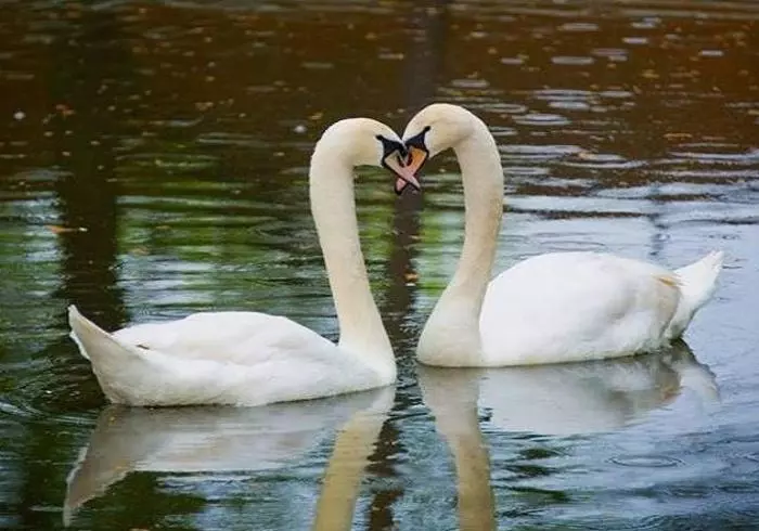 ベッドアンドブレックファースト Virginia Cliffe Inn