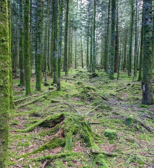 Пансион Gîte Domaine Des Iris