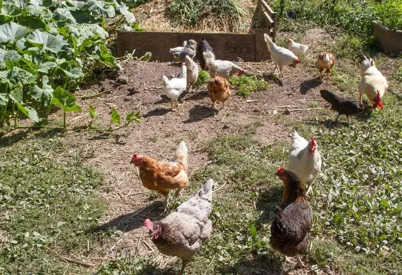 Majatalo Gîte Domaine Des Iris