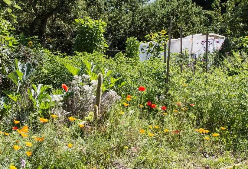 Majatalo Gîte Domaine Des Iris