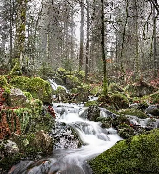 Majatalo Gîte Domaine Des Iris