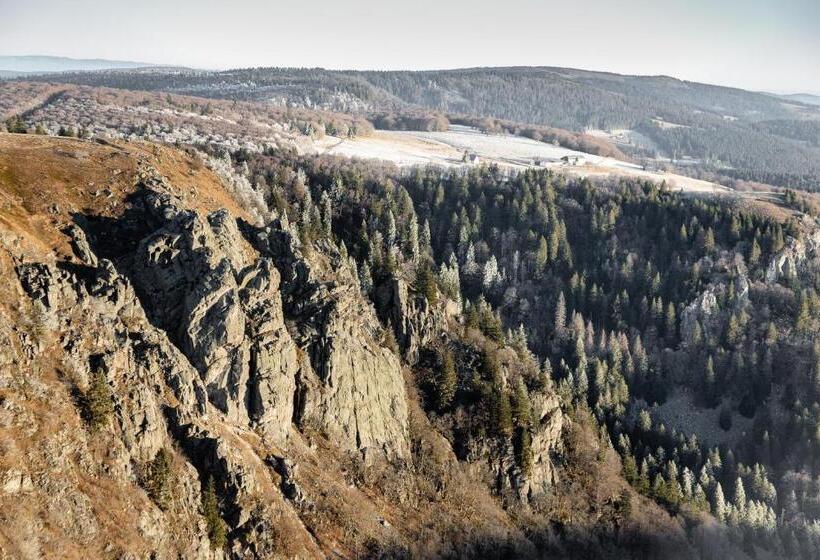 Пансион Gîte Domaine Des Iris