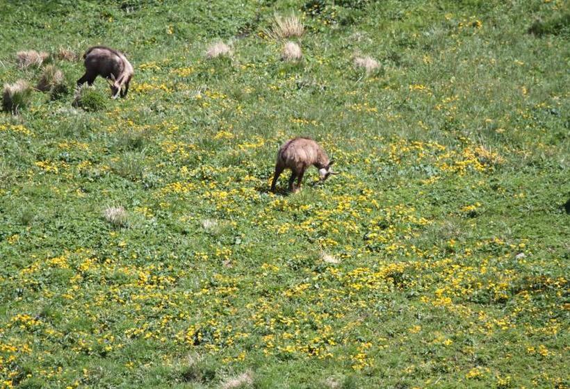 Пансион Gîte Domaine Des Iris