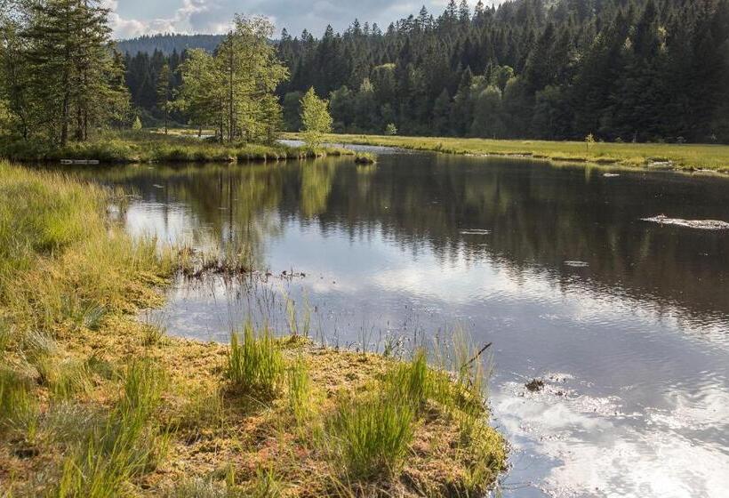 Пансион Gîte Domaine Des Iris