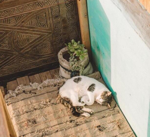 فندق صغير The Lunar Surf House