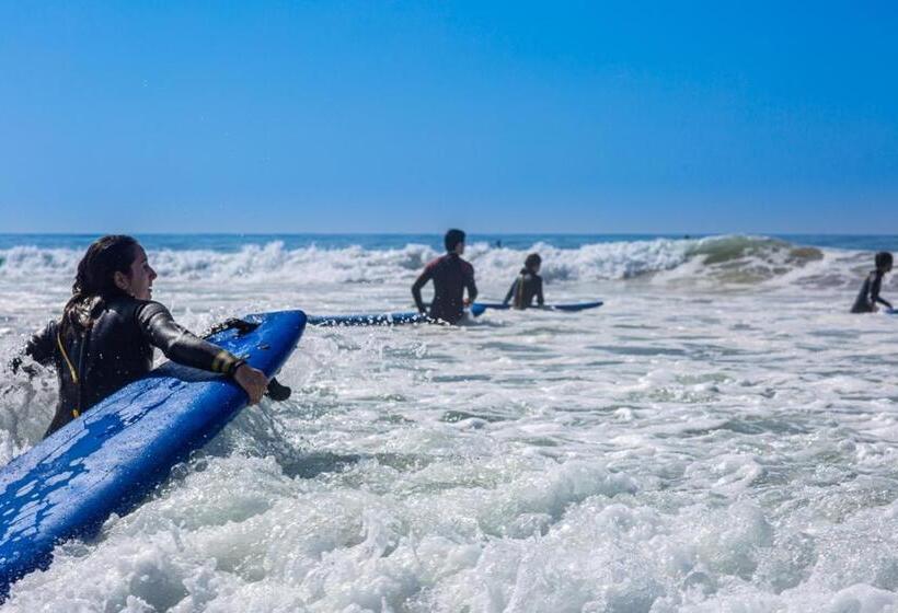 فندق صغير The Lunar Surf House