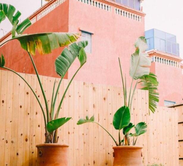 فندق صغير The Lunar Surf House