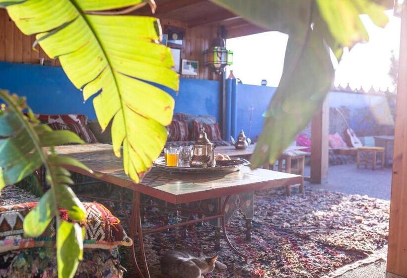 فندق صغير The Lunar Surf House