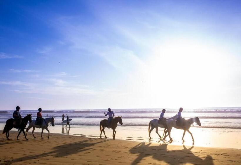 فندق صغير The Lunar Surf House