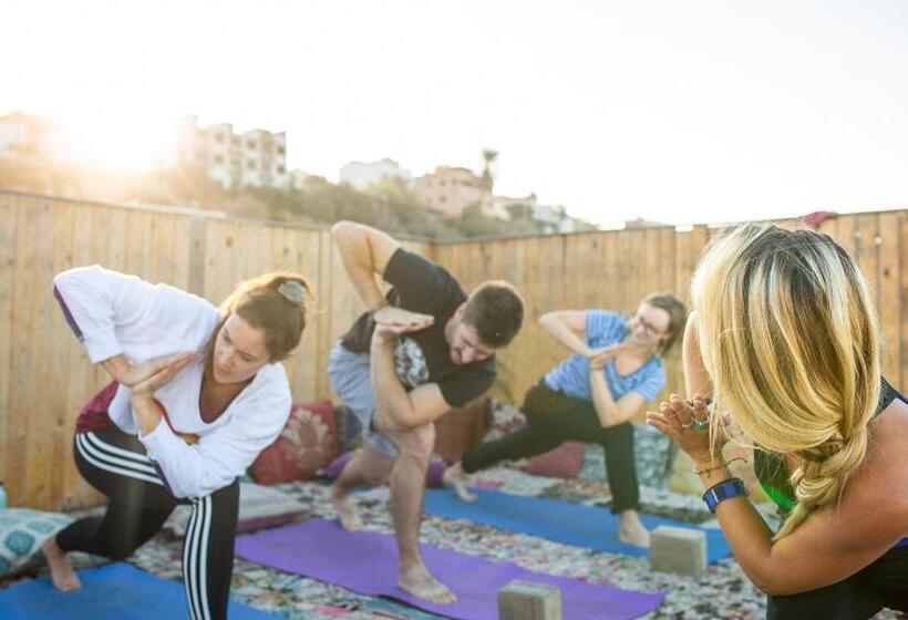 فندق صغير The Lunar Surf House