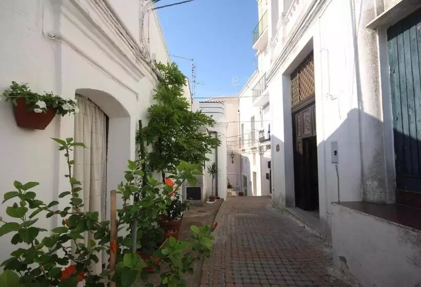 تختخواب و صبحانه Calanco Blanco