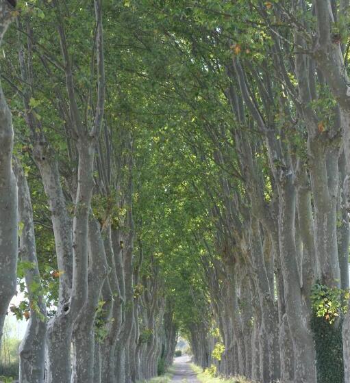 Bed and Breakfast Domaine De Ceyrac