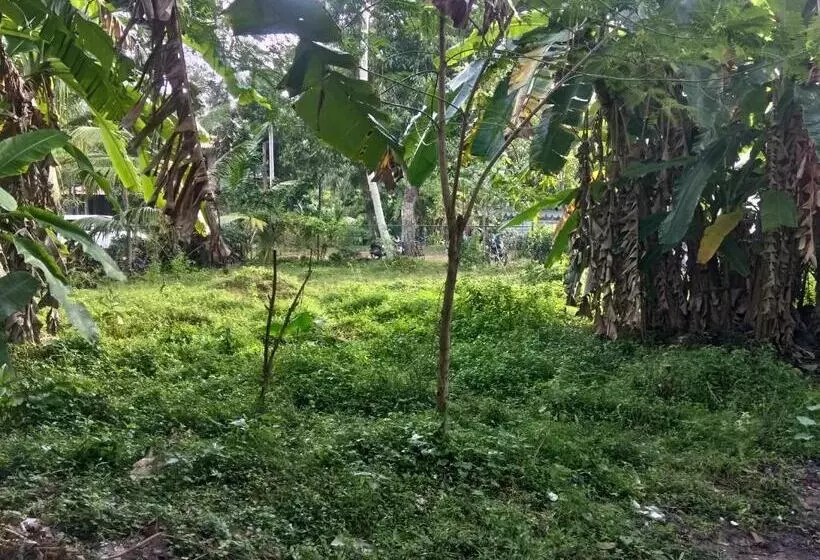 Aamiaismajoitus (B&B) Sasmika Villa Surf And Yoga Hostel