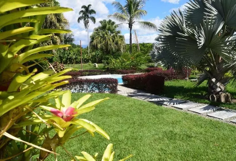 ホテル Finca La Bella