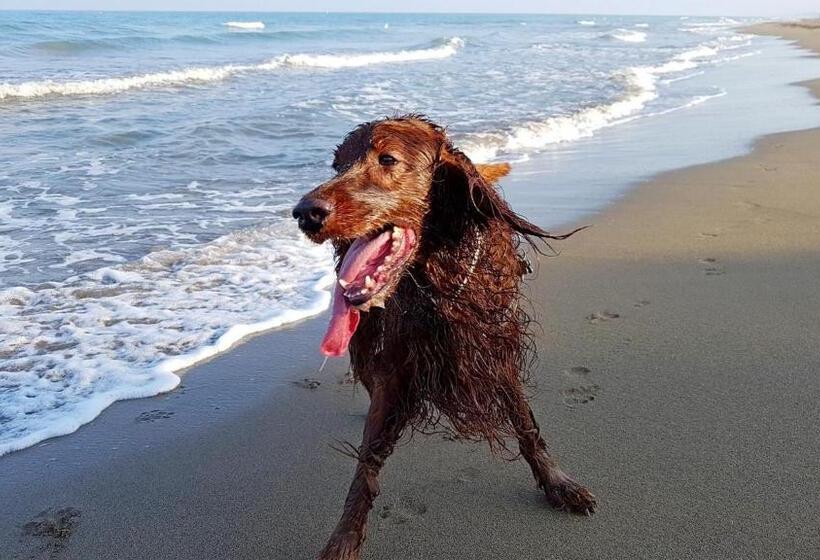 Отель Villa Tramonto Direttamente Sul Mare