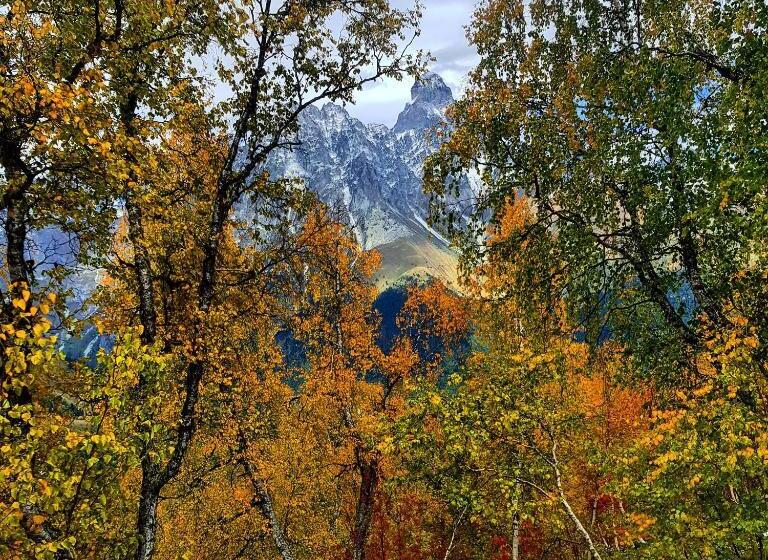 پانسیون Guest House Pangani