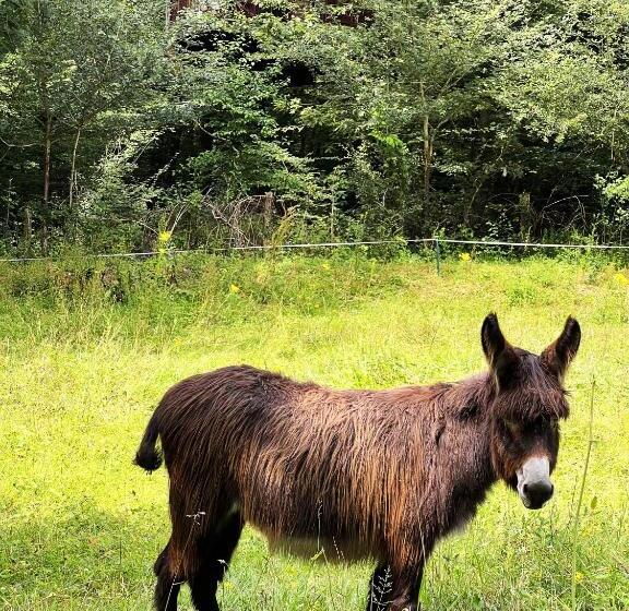 膳宿费 Les Galants