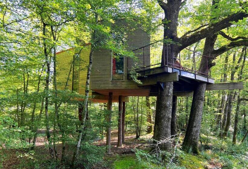 膳宿费 Les Galants