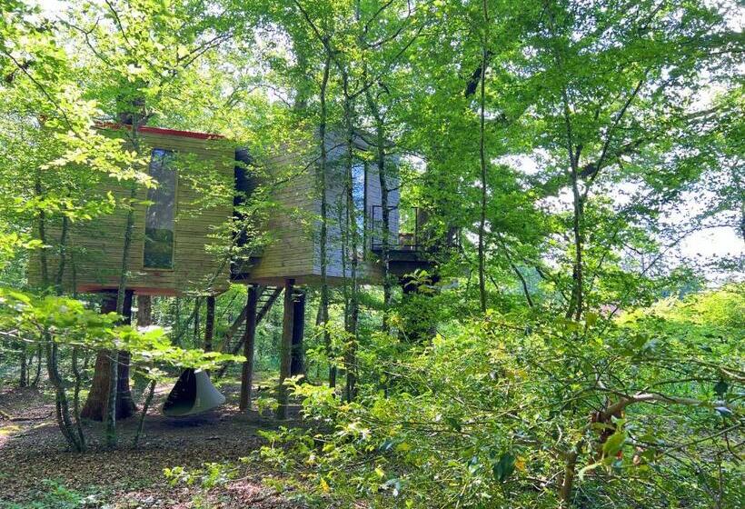 膳宿费 Les Galants